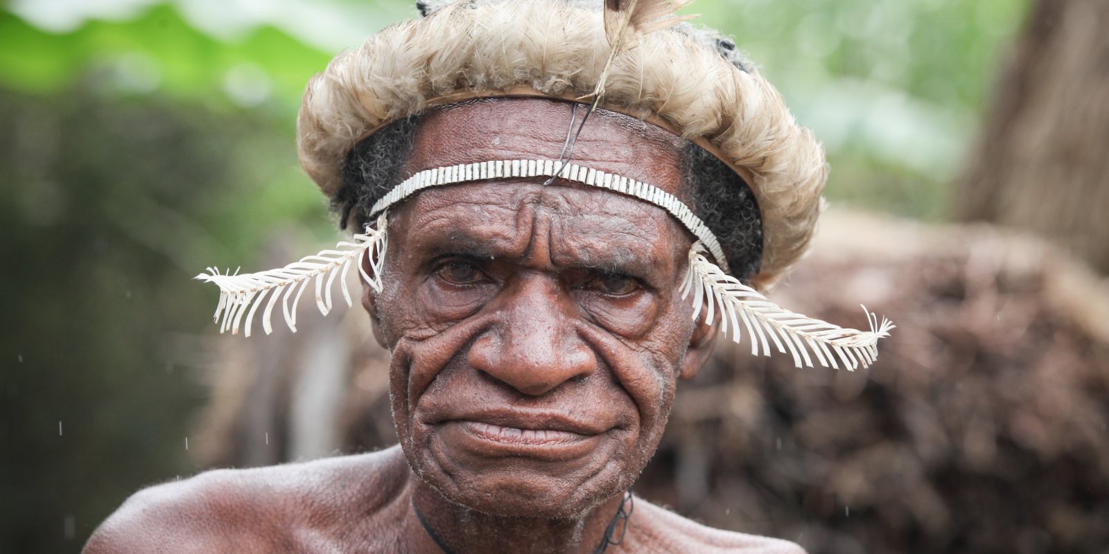 David Švejnoha - Lovci lebek